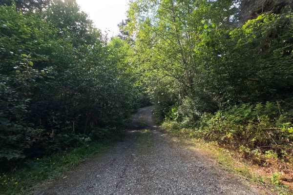 Sandy Creek - FS 1124