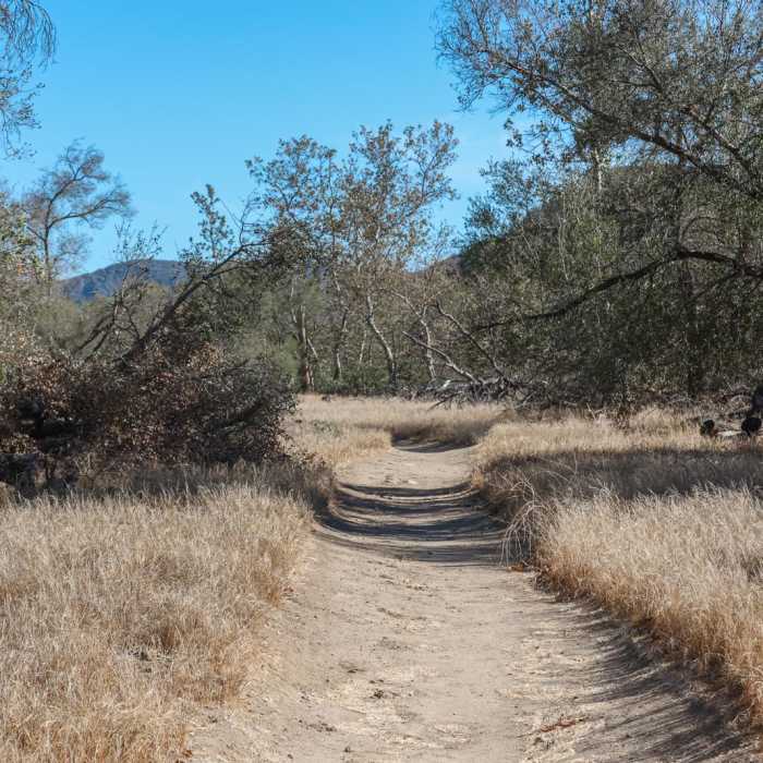 Near Nature Loop Trail