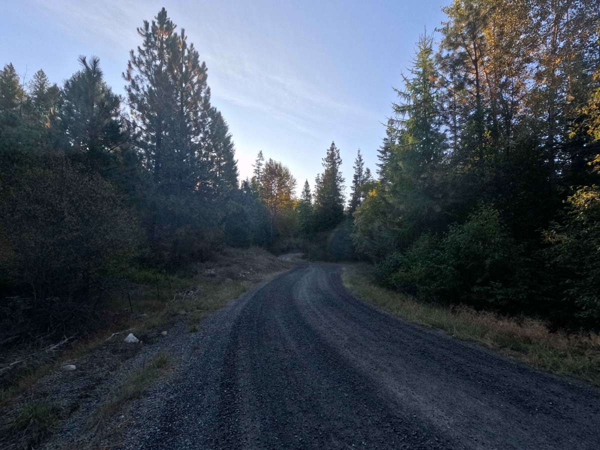 Starvation Lake Road photo 2