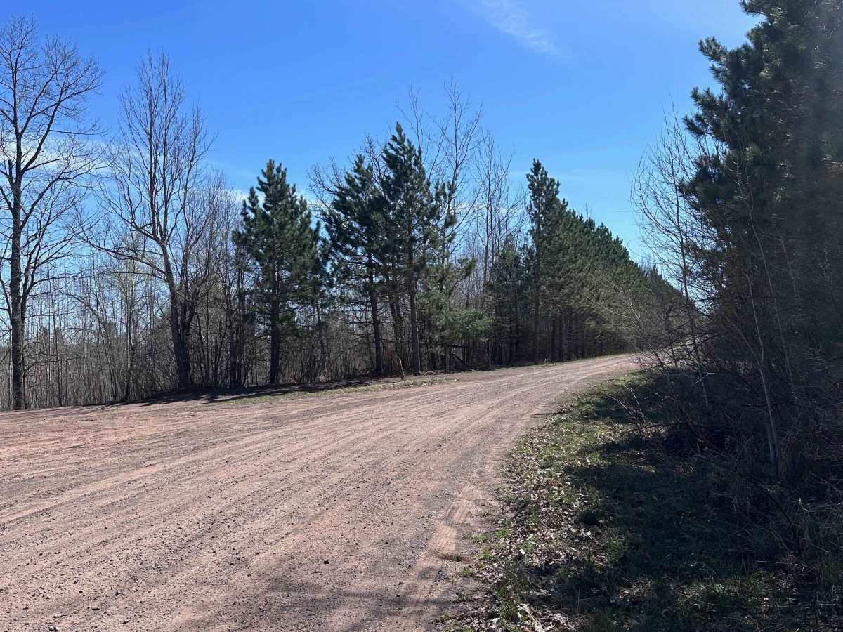 Tamarack River Forest Road photo 6