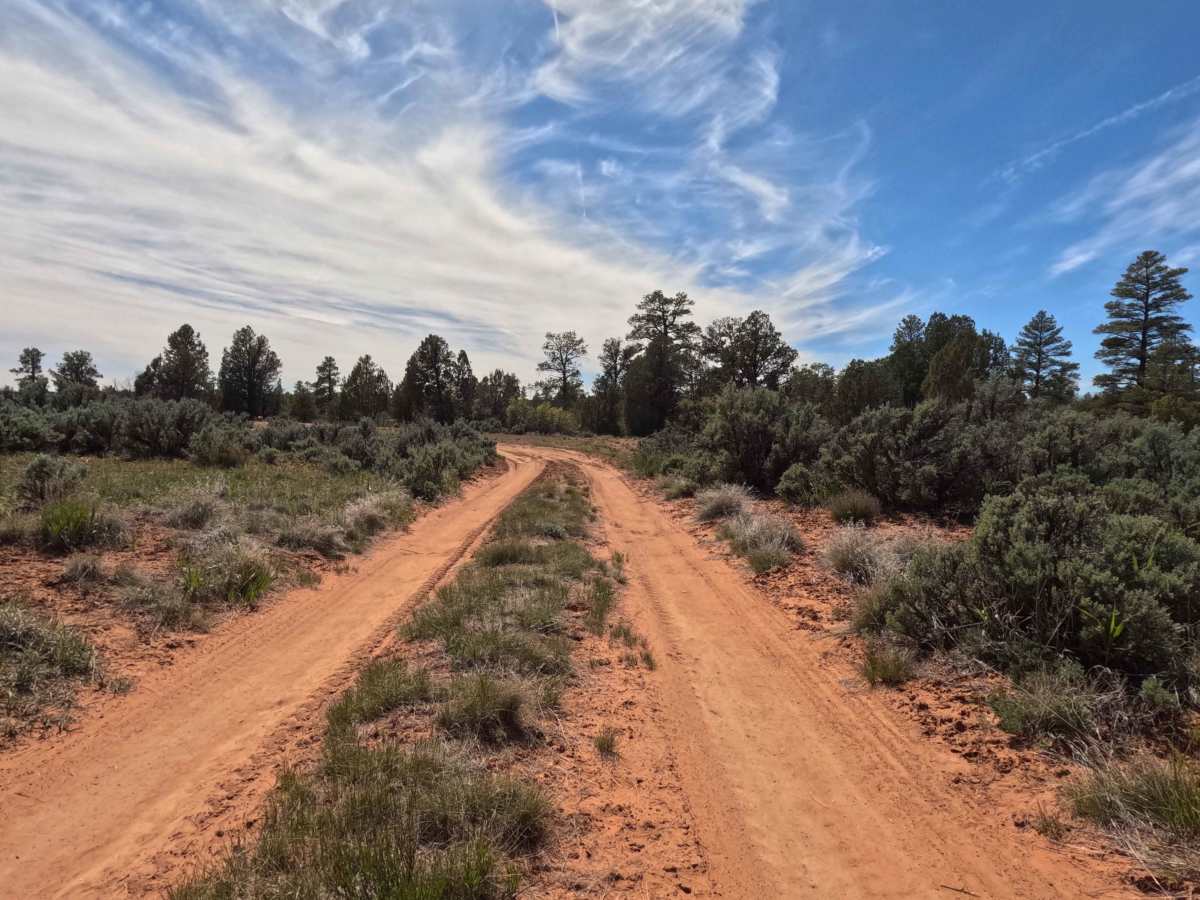 BLM 74  photo 4