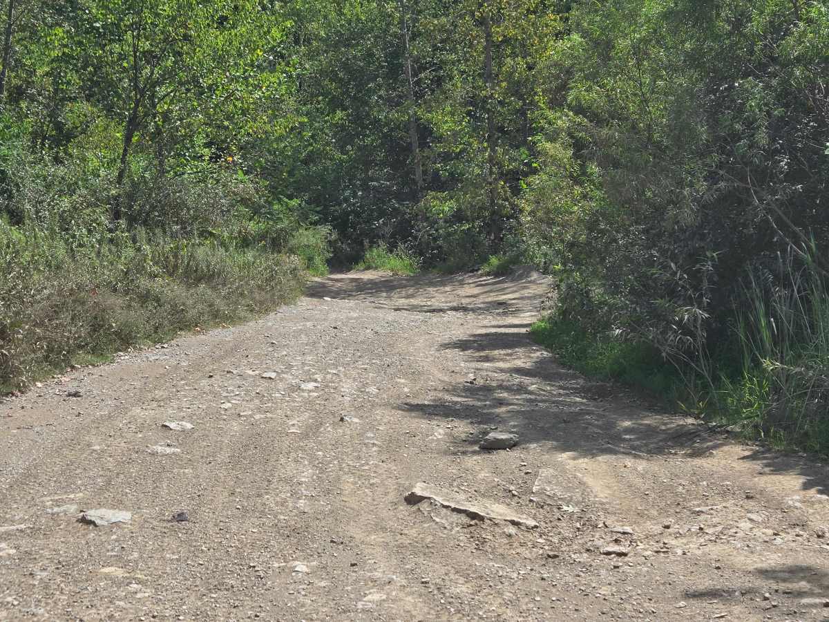 Trail 2 photo 3