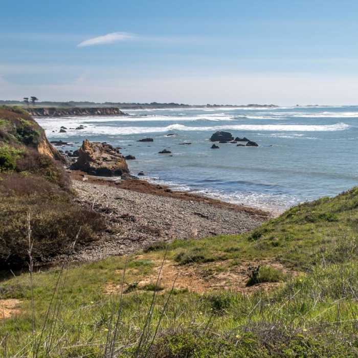 Near Atkinson Bluff Trail