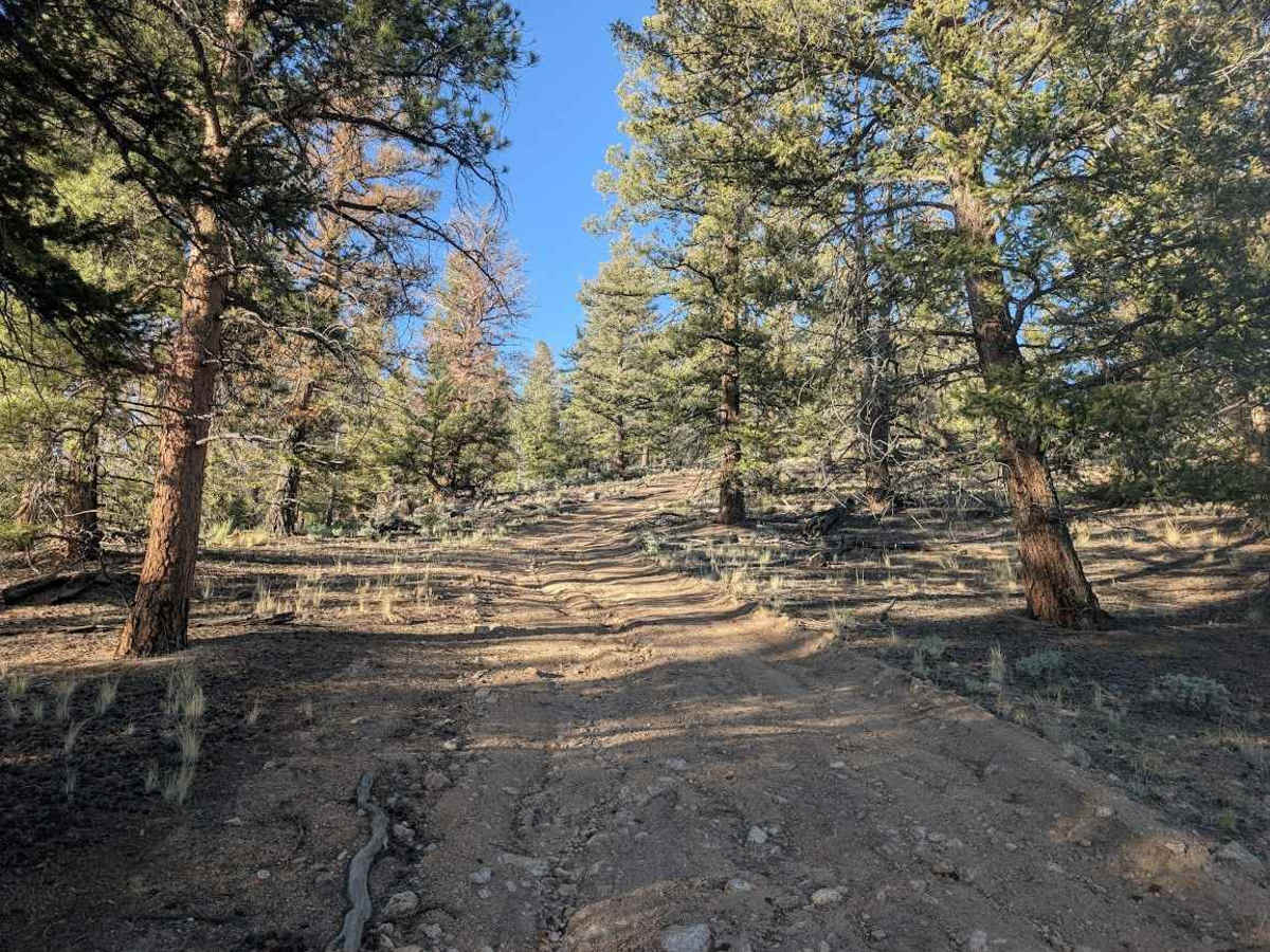 Poacher's Loop photo 3