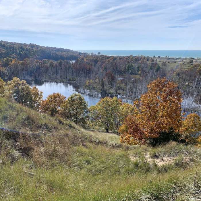 Near Crow's Nest/Tallmadge Woods Trail