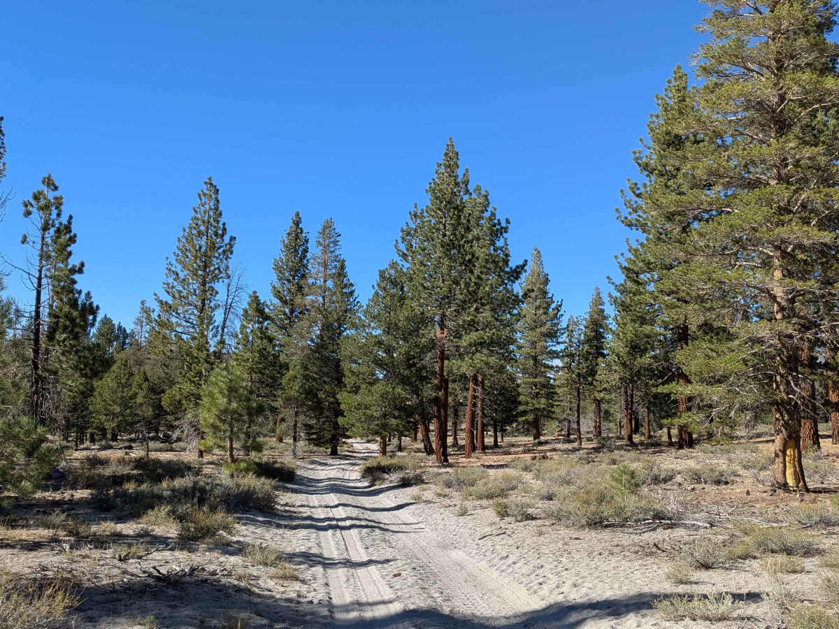 Old Cease Road - FS 1S02 photo 4