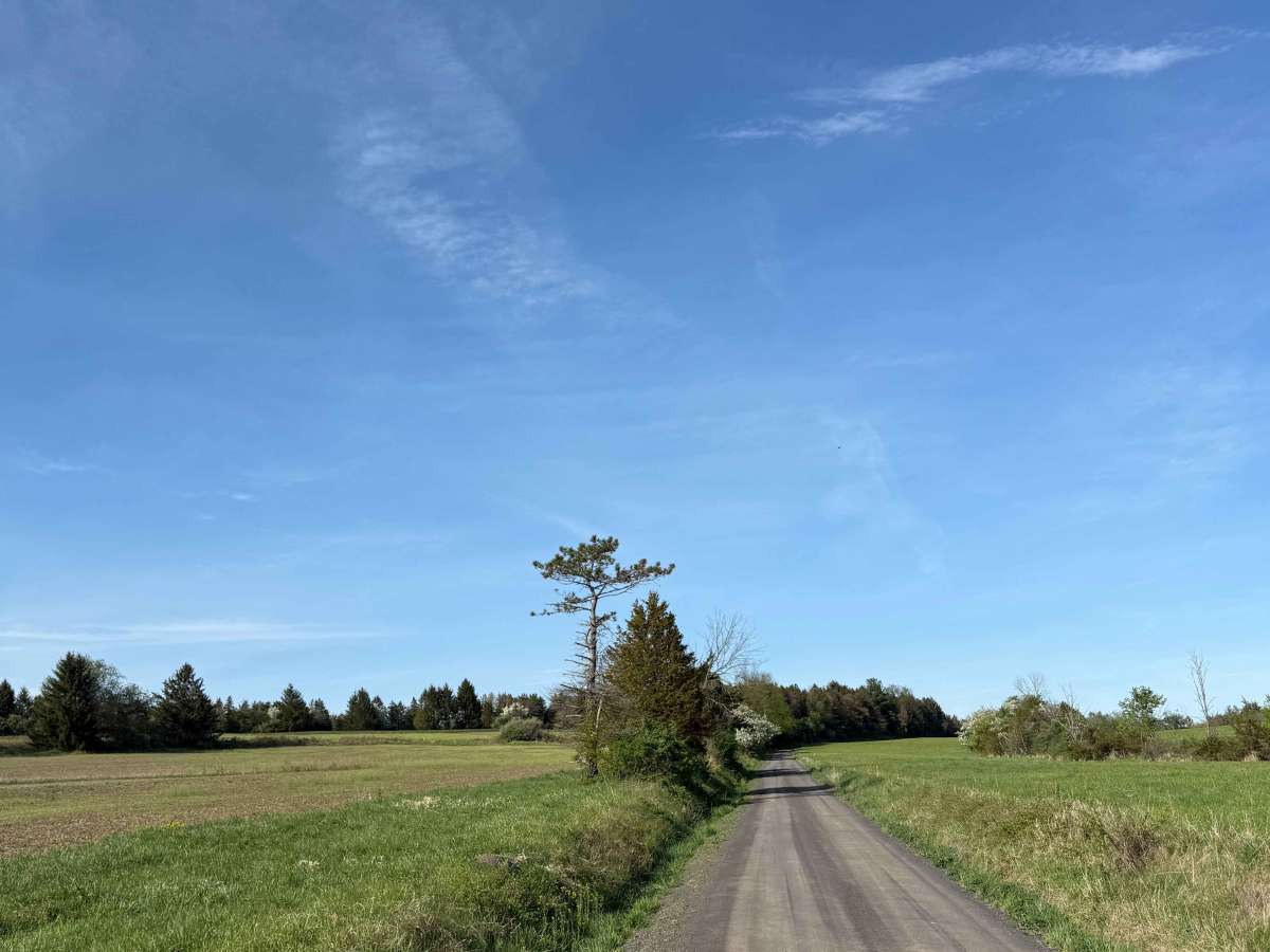 Randts Mill Road  trail photo