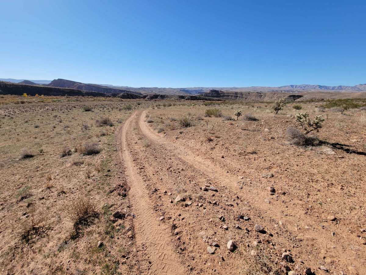Curly Hollow Wash trail photo