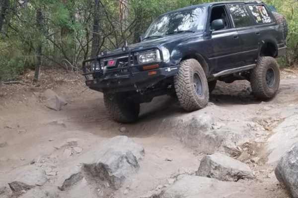 Sourgrass Trail