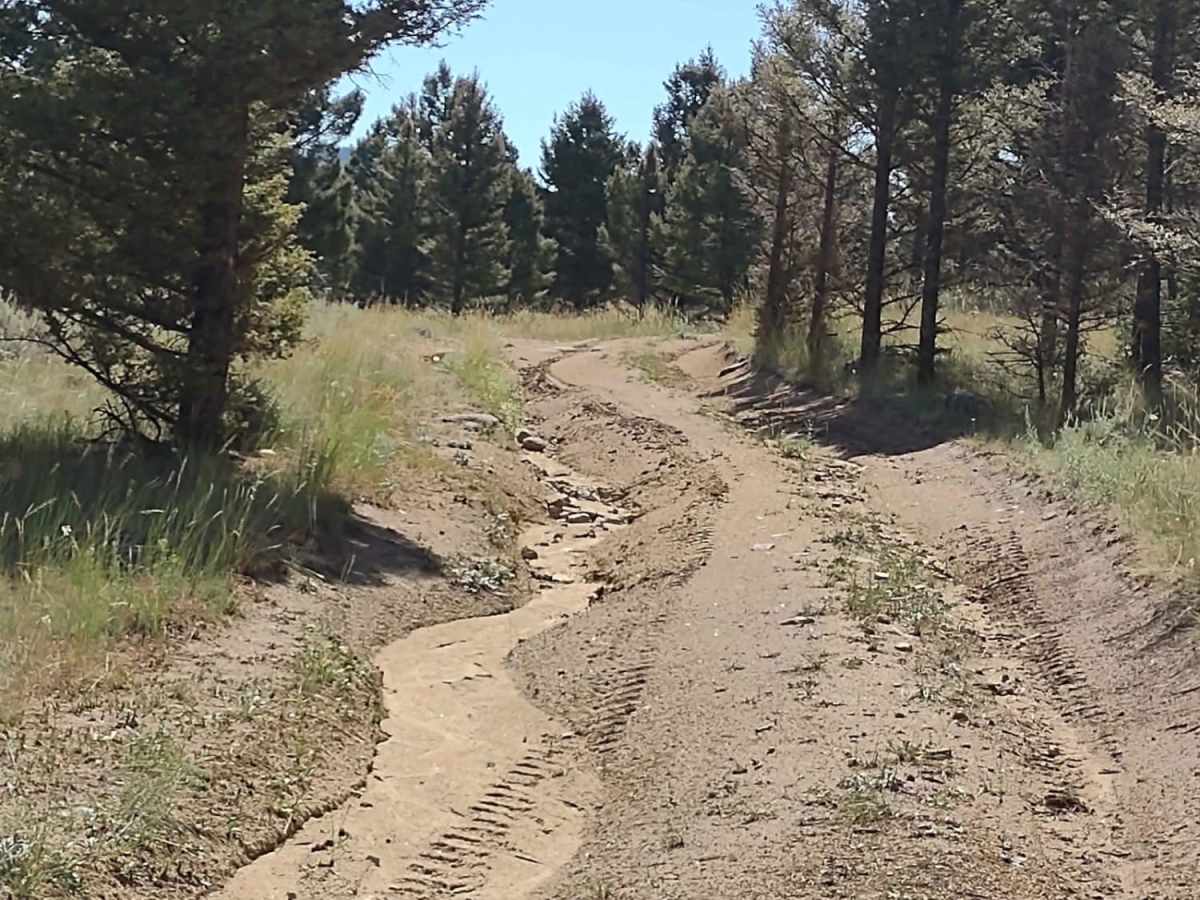 Wilderness Wanderings trail photo