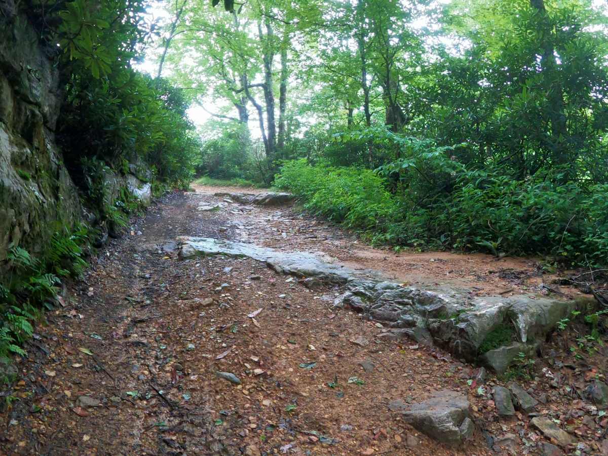 Horse Creek photo 4