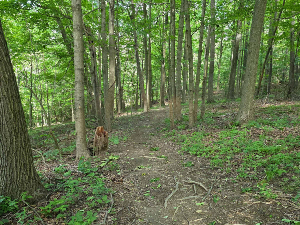 Single Track B photo 3