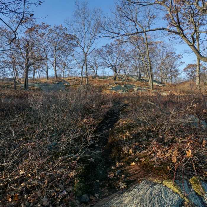 Near Turkey Mountain