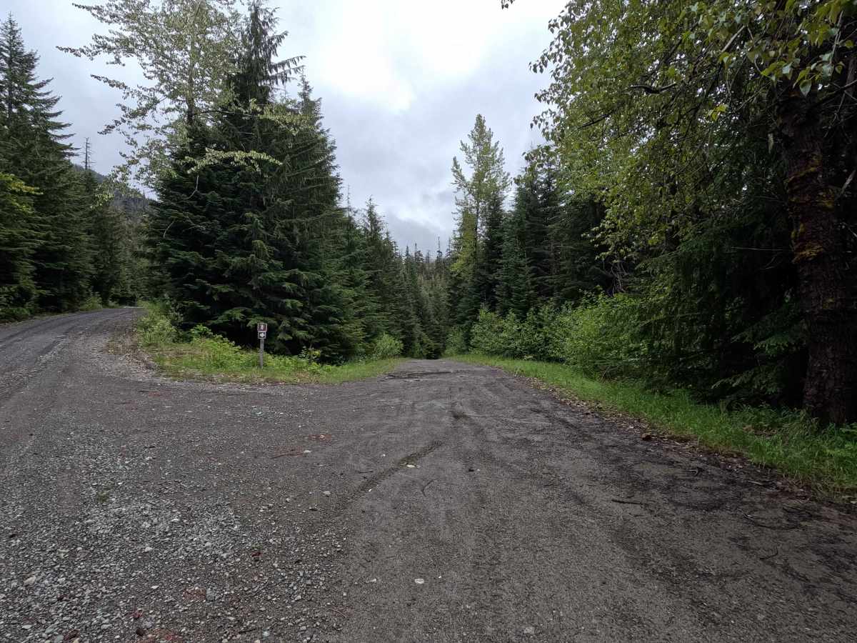 Bear Paw - FS 3170 trail photo
