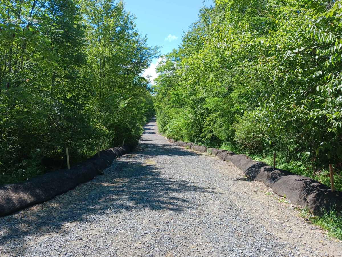 Rouges Harbor Road - Rock Run Recreation Area photo 3