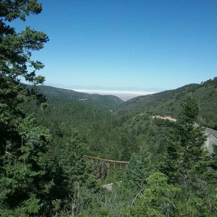 Near Osha Trail (T10)
