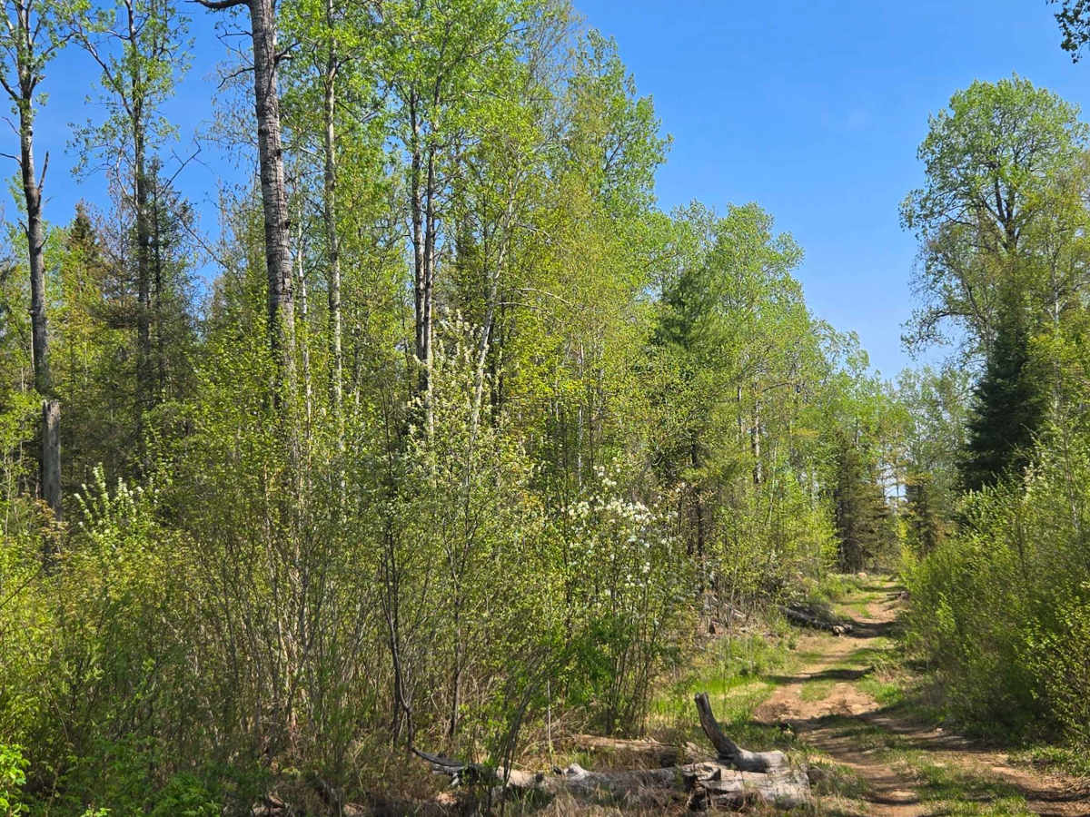 Lost Lake Spur photo 4