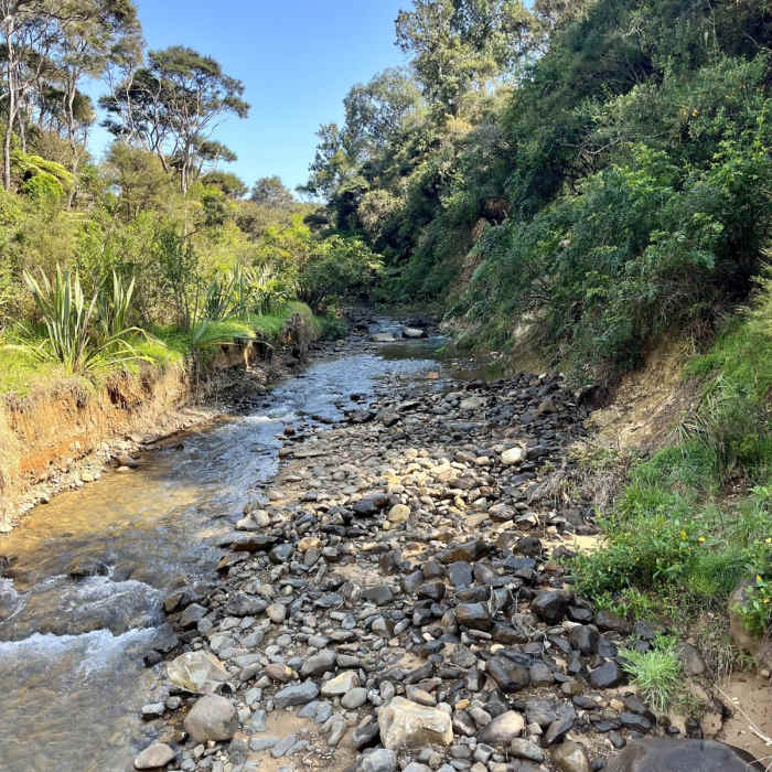 Near Tapapakanga Coastal Walk Near Tapapakanga Coastal Walk