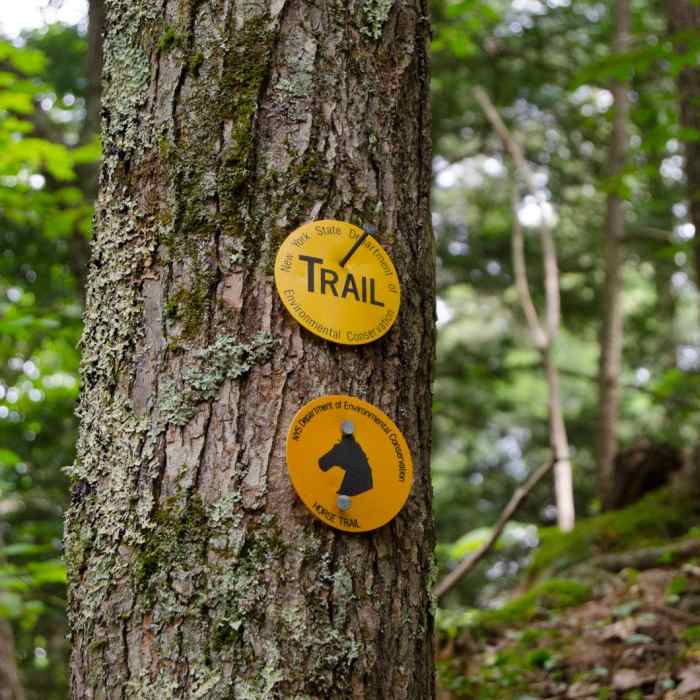 Near Shelving Rock Mountain