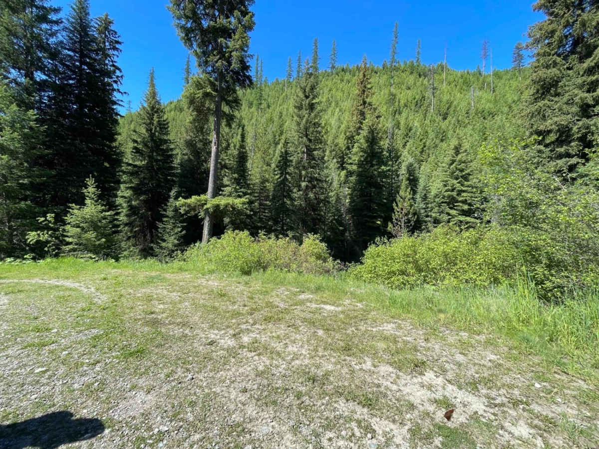 North Fork Howard Trailhead photo 3