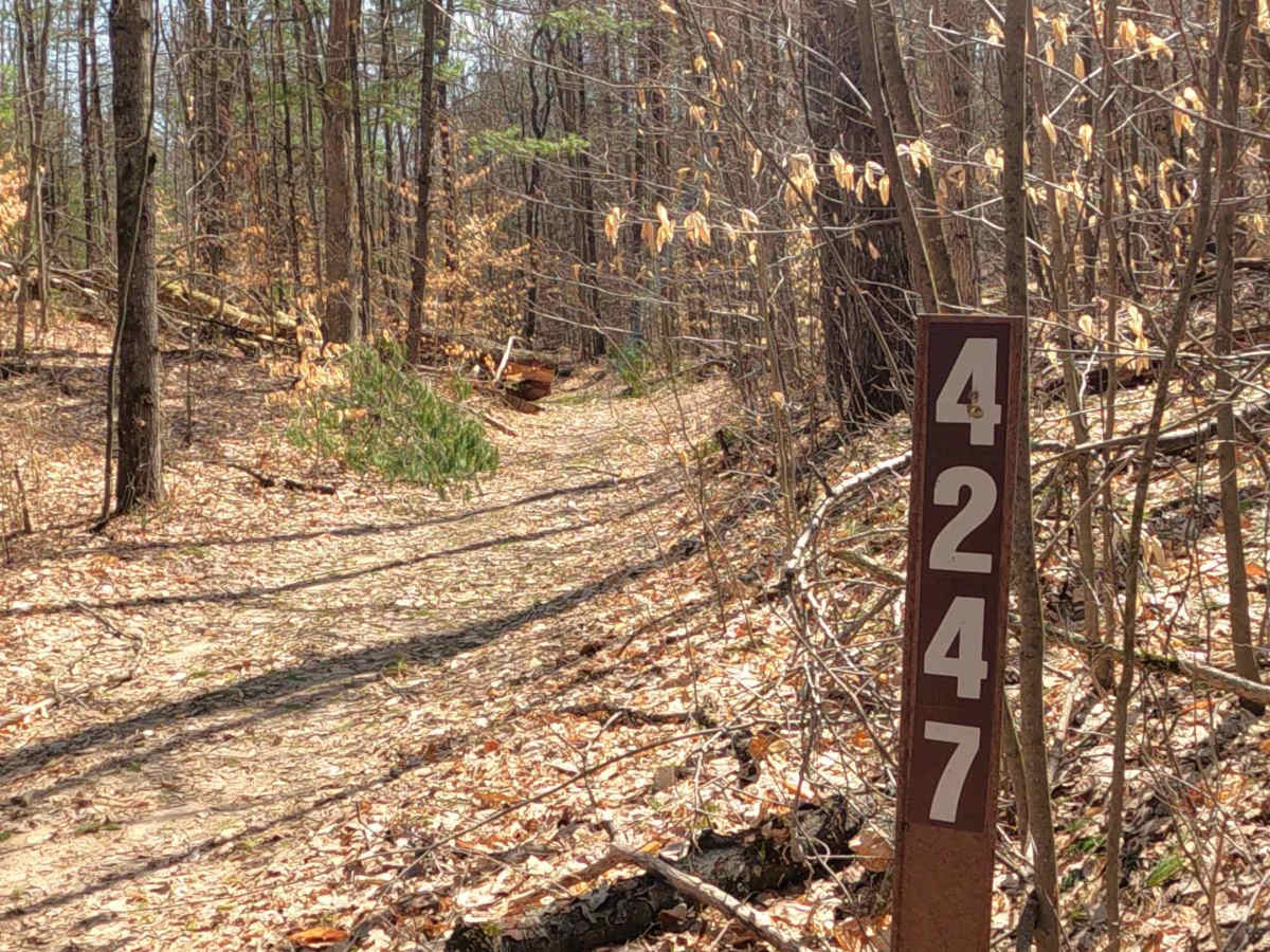FS 4247 trail photo