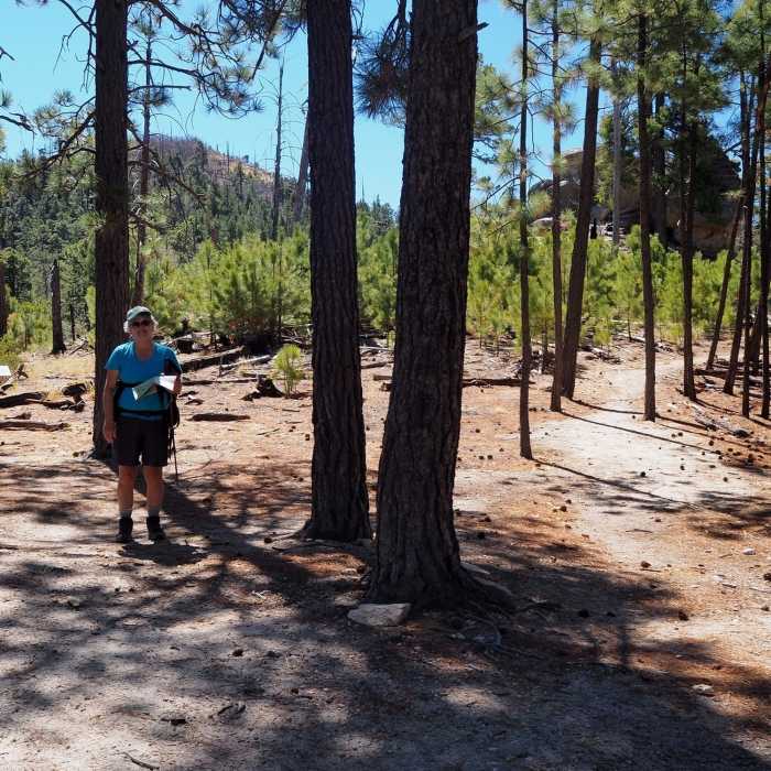 Near Mint Springs Trail #20