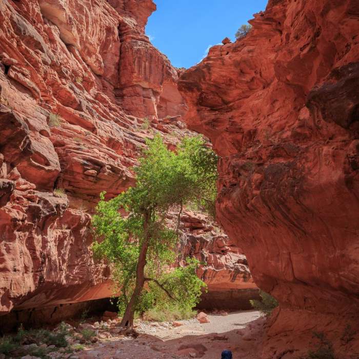 Near Havasu Falls Hike via Havasupai Trail