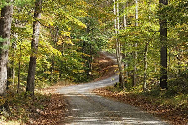 Little Irish Road - FS 311