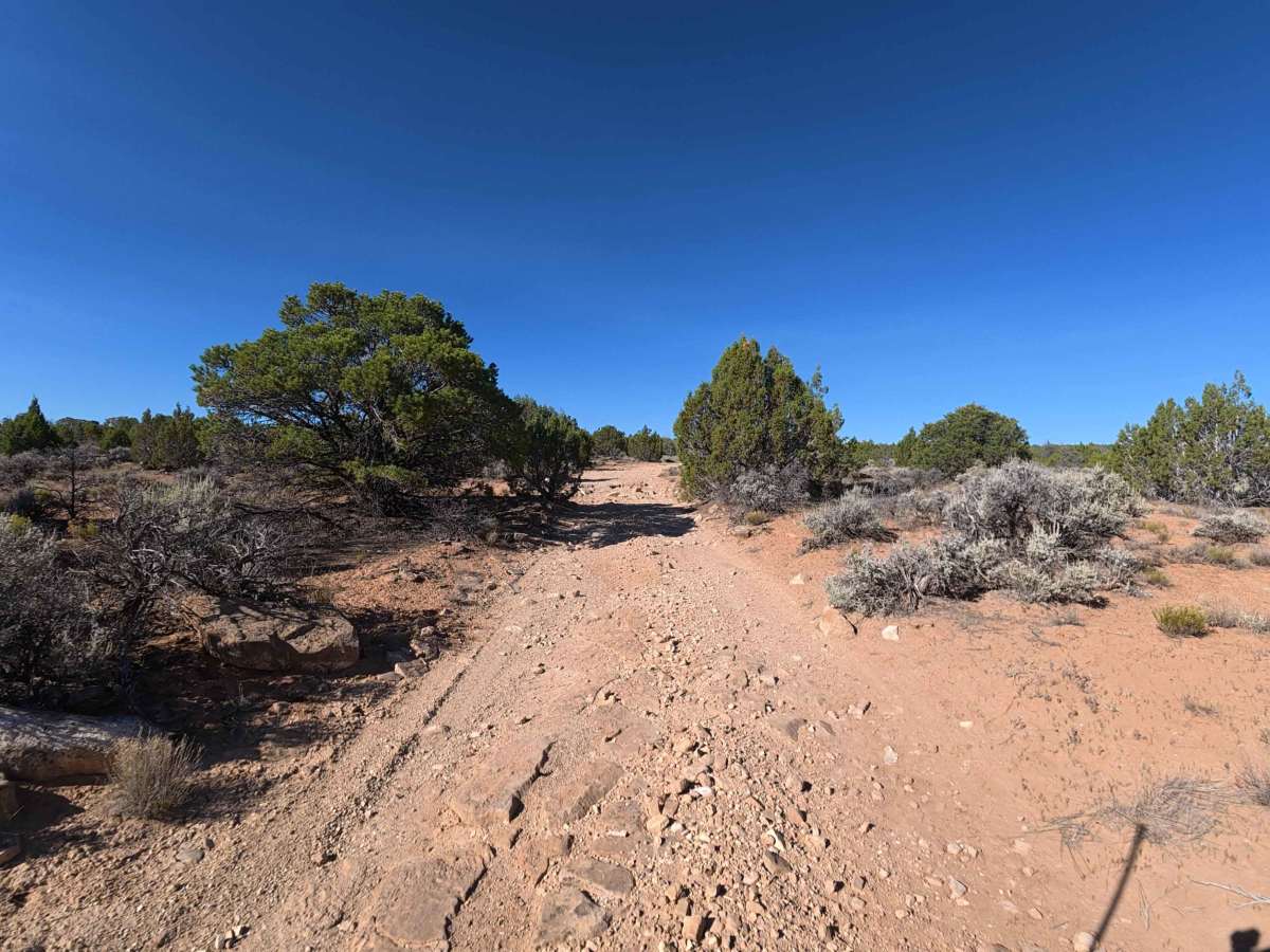 Ben Lowe Road - BLM 860 photo 4