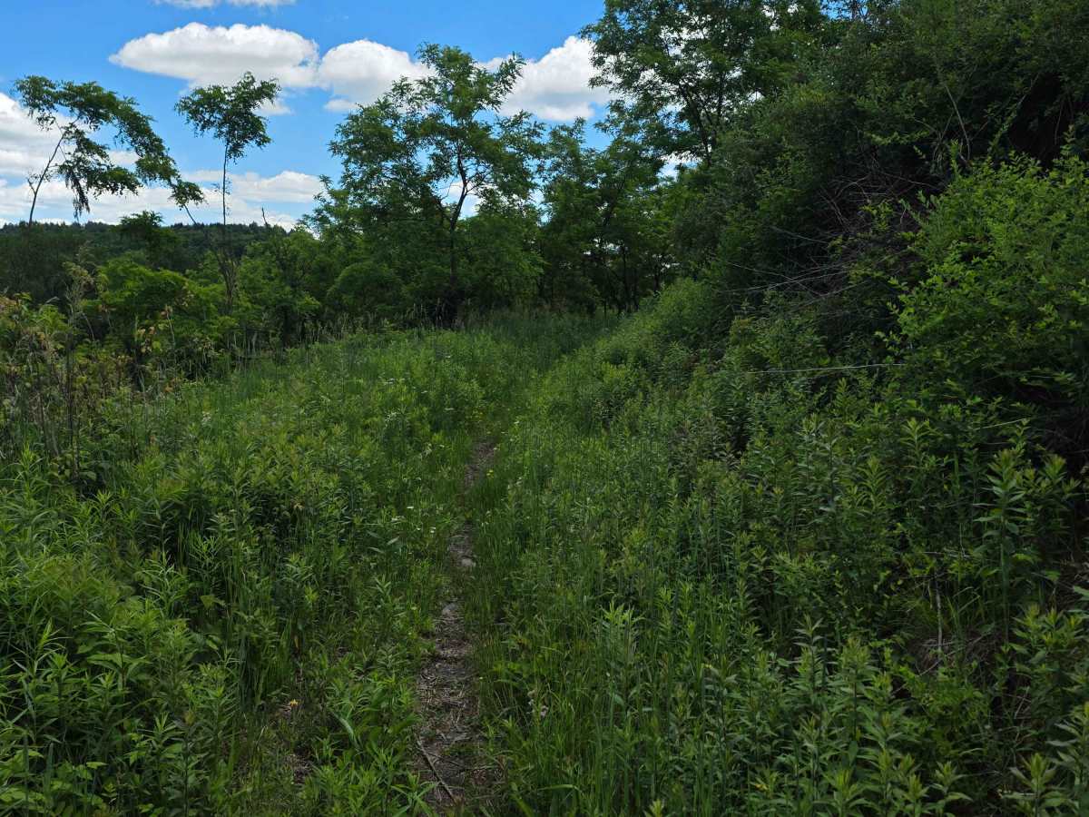 Single Track AB photo 6