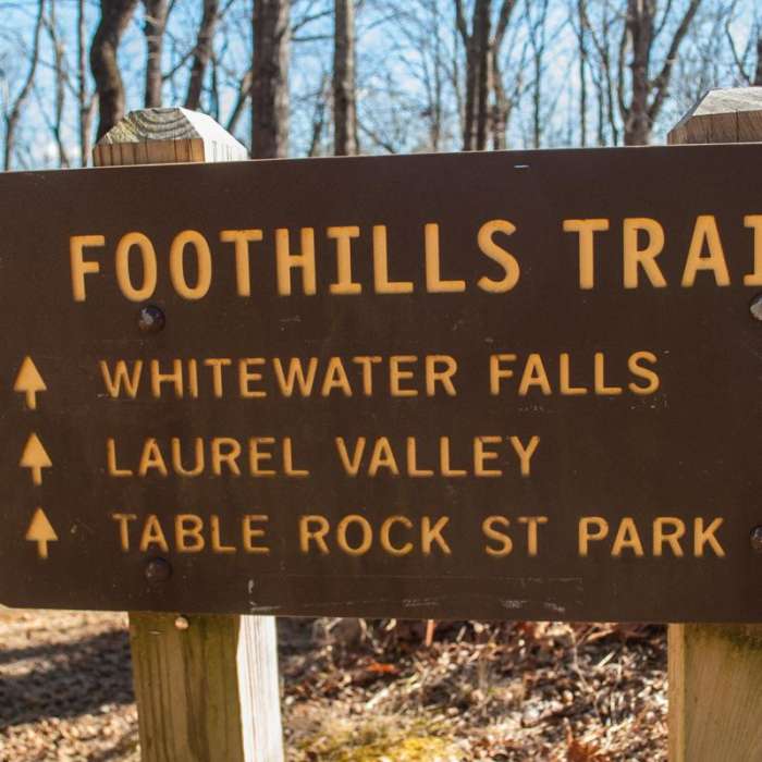 Near Upper Whitewater Falls Hike