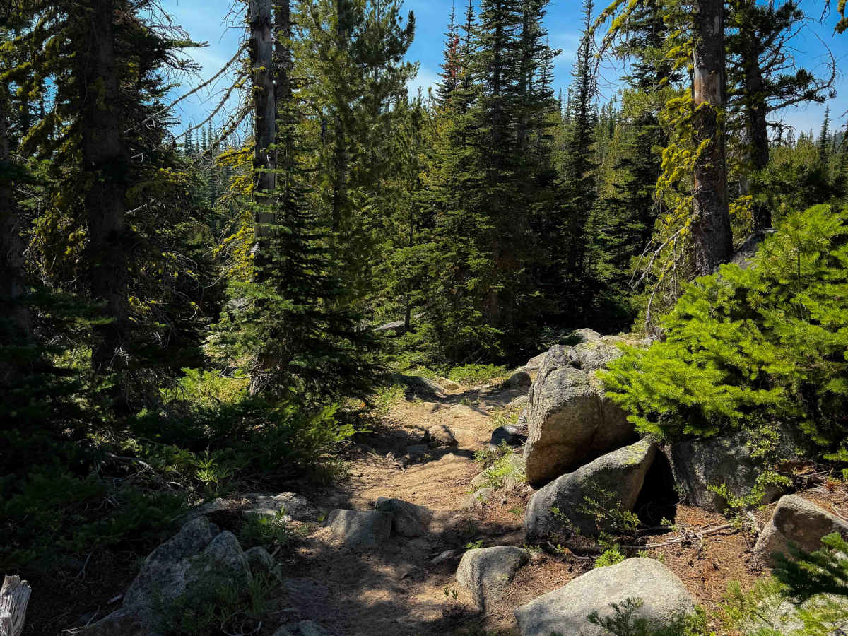 Bryan Butte - 418   photo 6