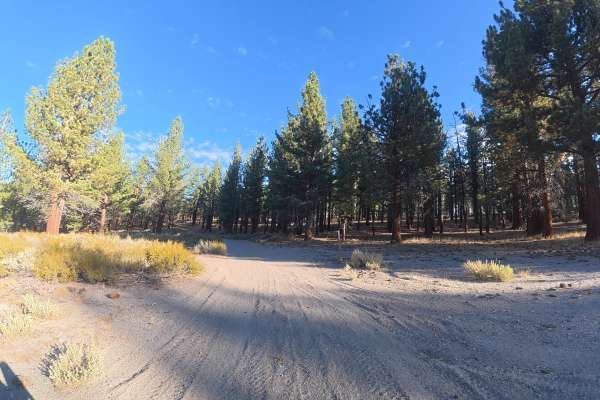 Antelope Loop - FS 3S39