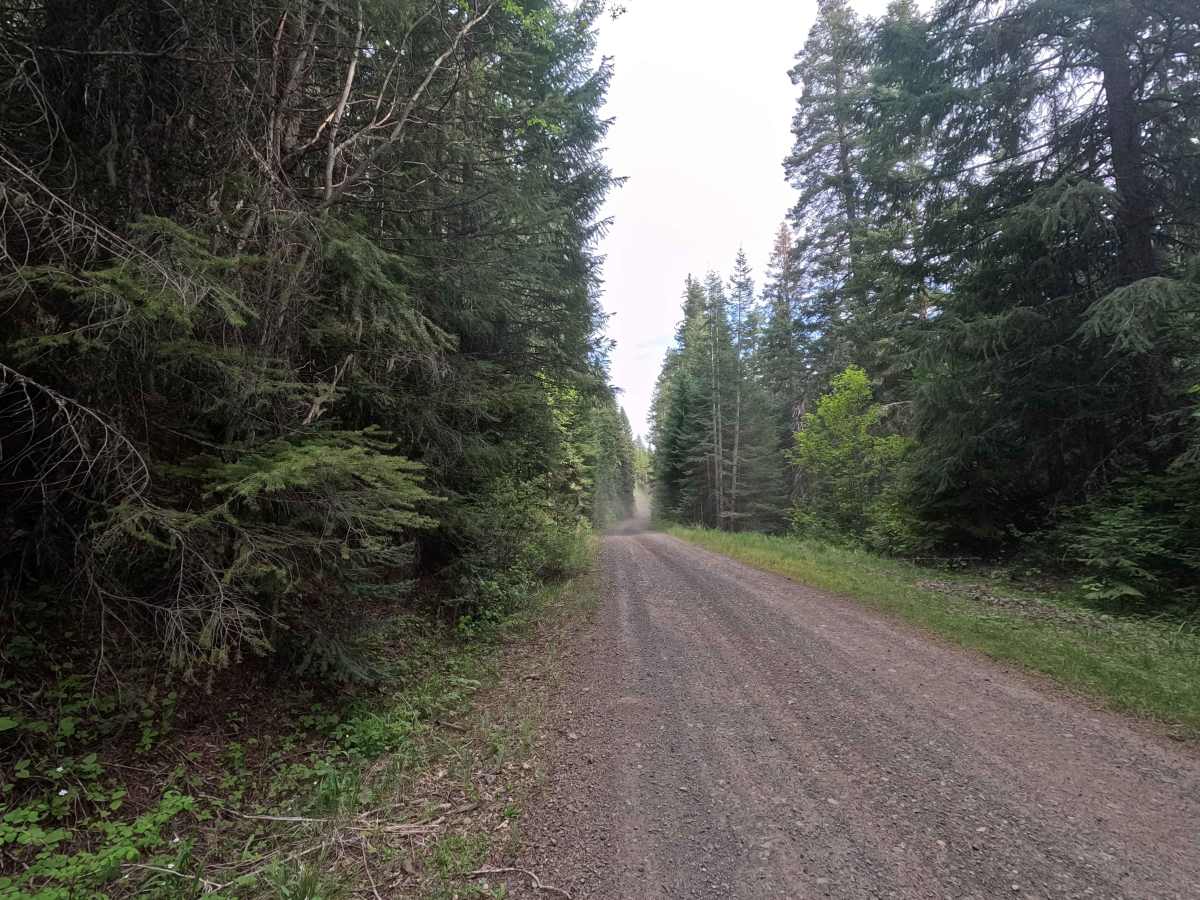 Ruckel Road - FS 32 photo 2