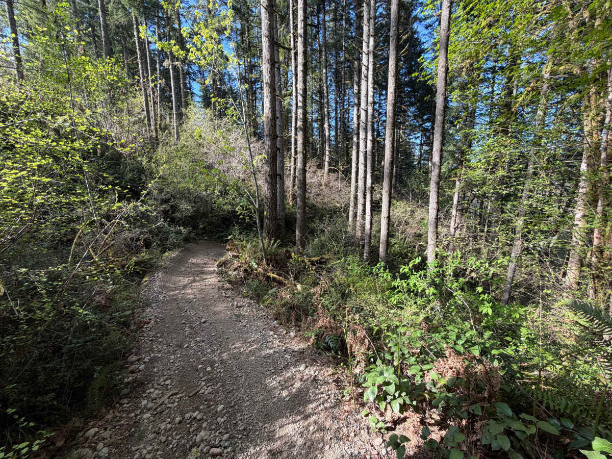 Mission Creek photo 5