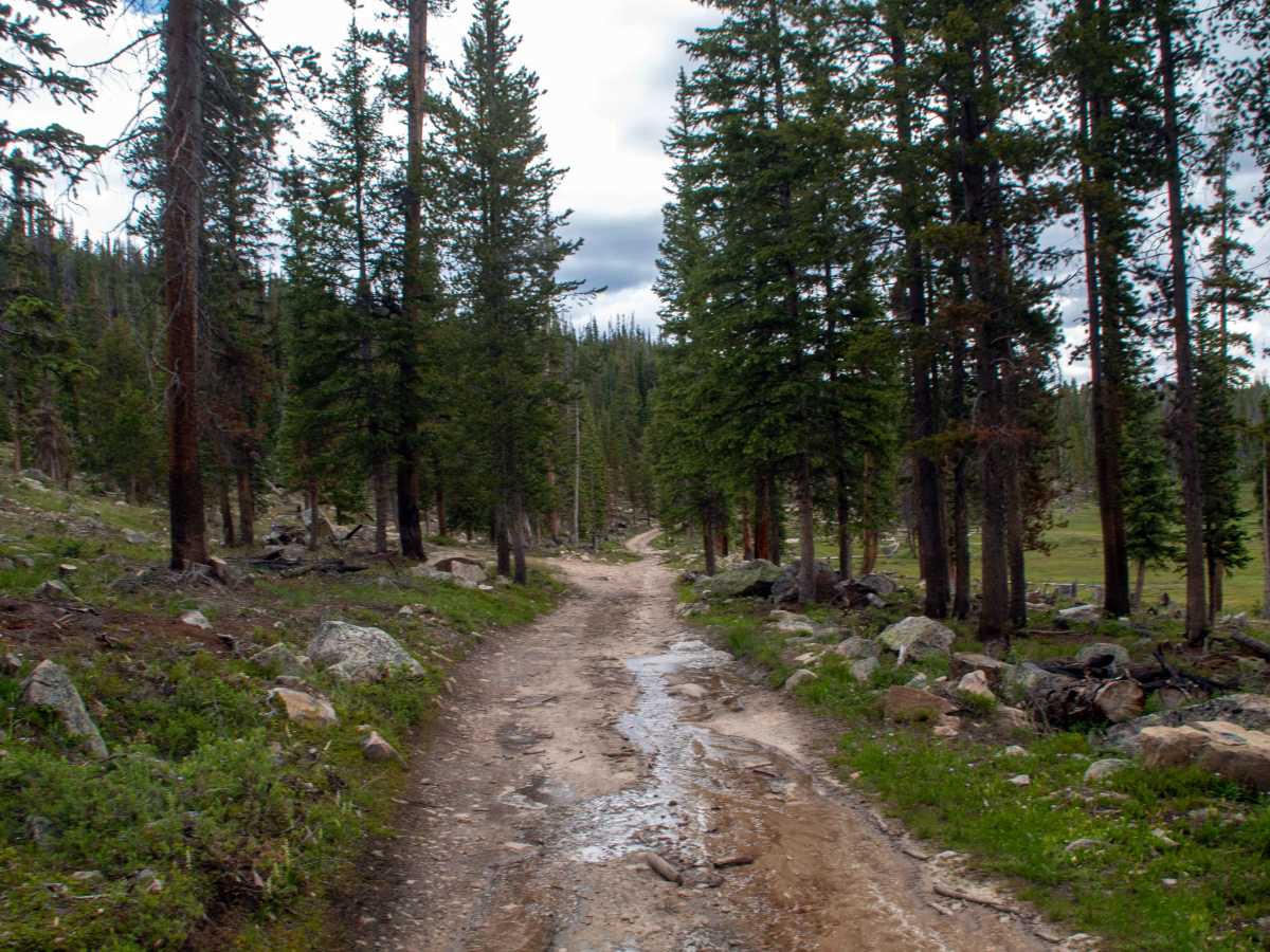 Blue Lake Loop - FS 80531 photo 6