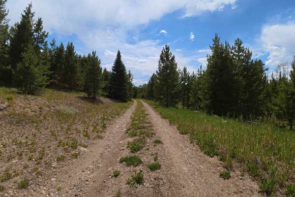 Dirty Bird Spur B Road - 121.1B