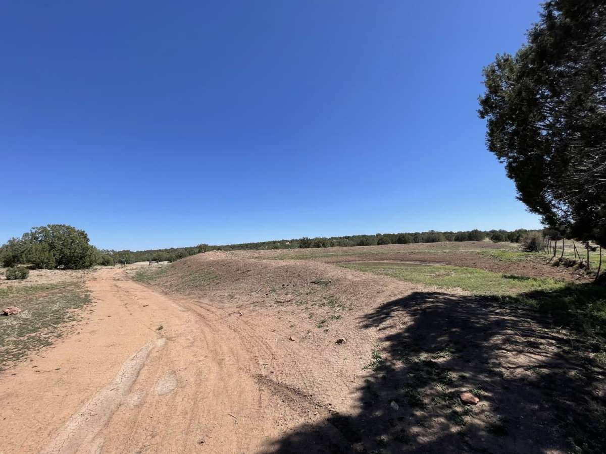 Pine Flat photo 3