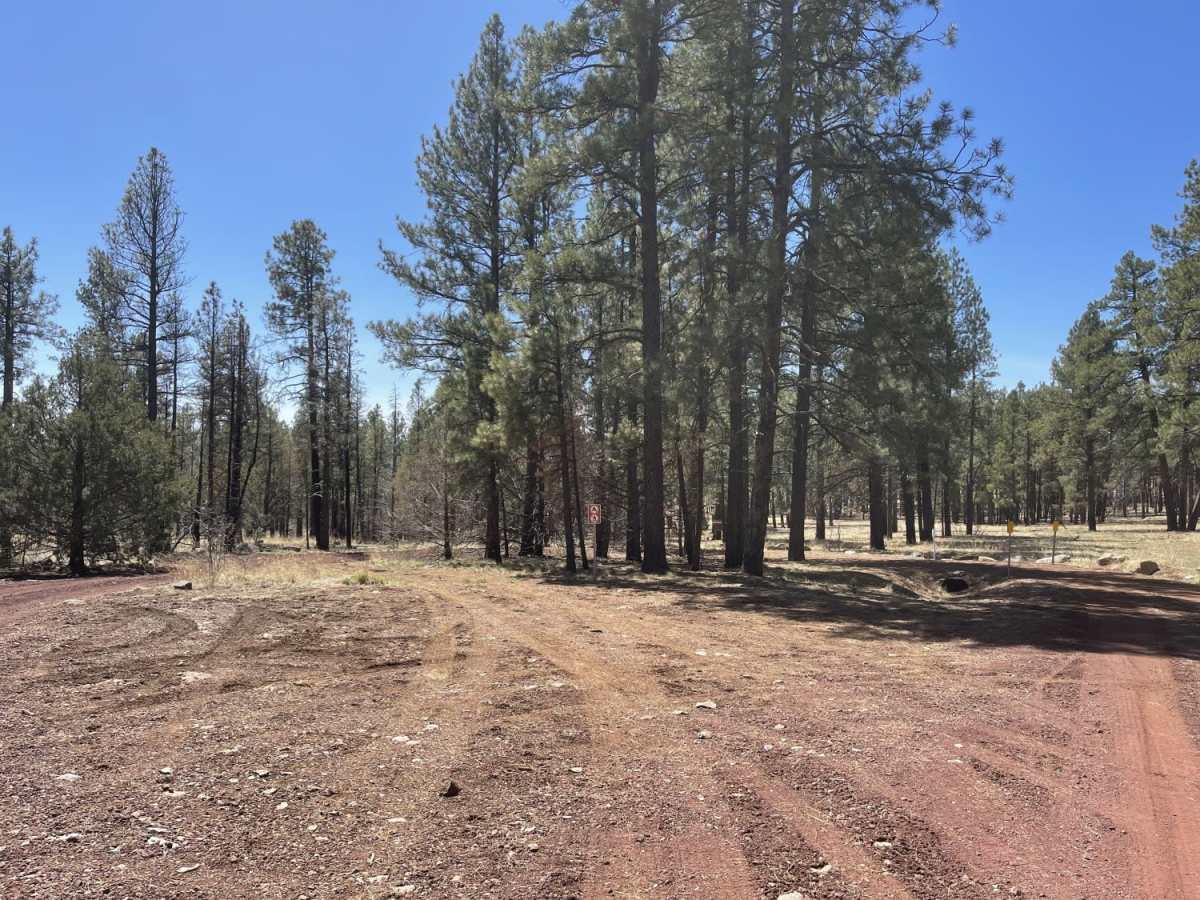 Double Tank Trailhead photo 6