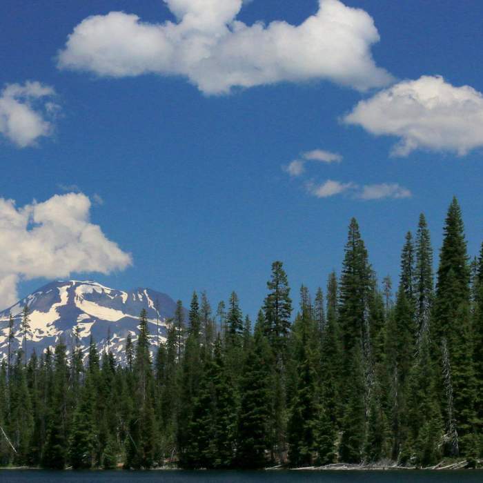 Near Lucky Lake Hike