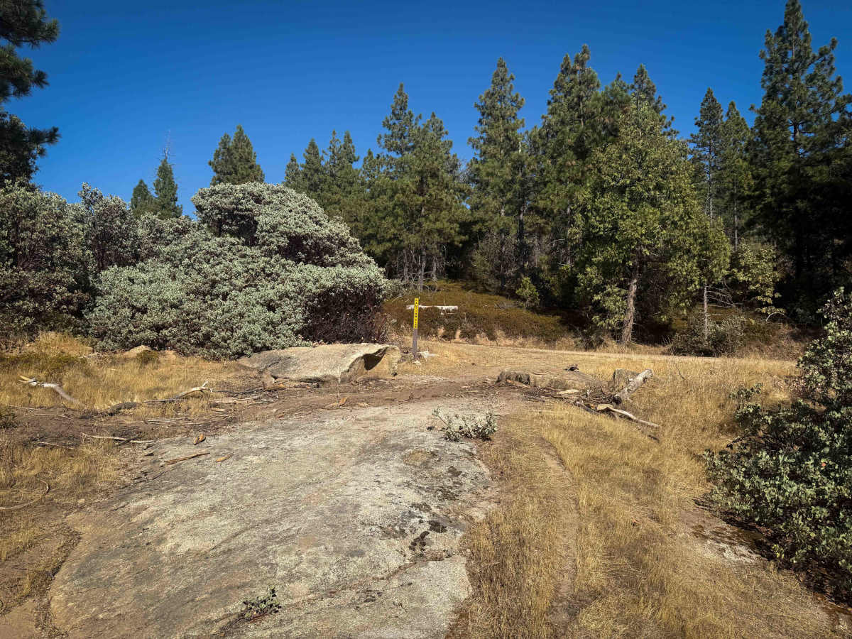 21E201 photo 3