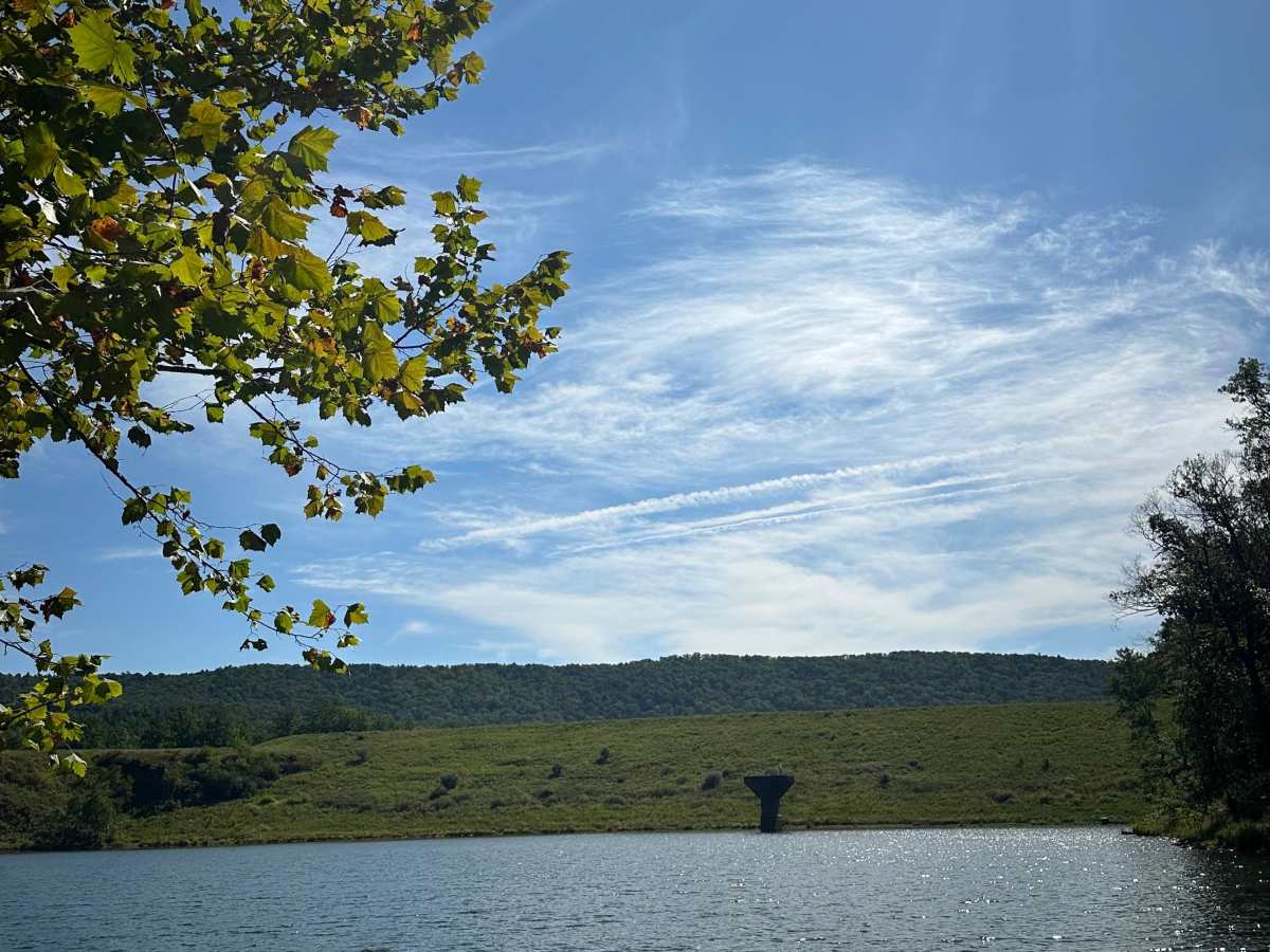 Little River photo 6