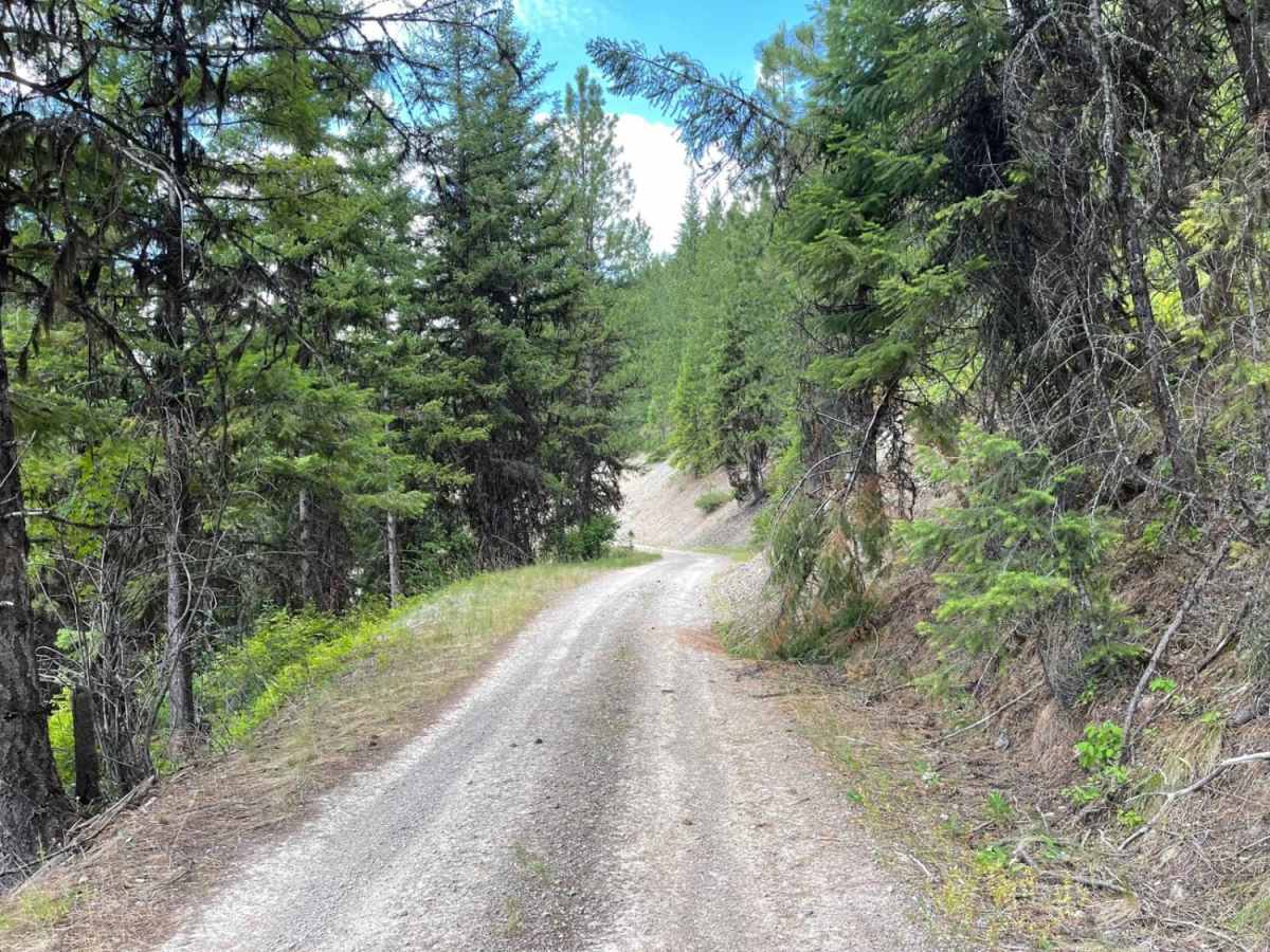 Williams Pass photo 3