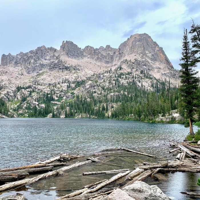 Near Redfish Lake To Baron Lakes