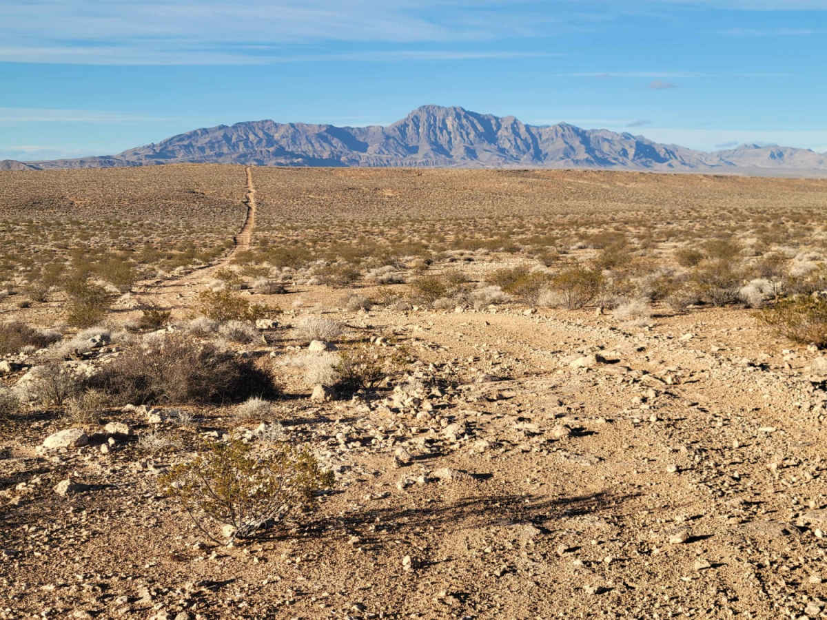 Mesa Straightaway photo 5