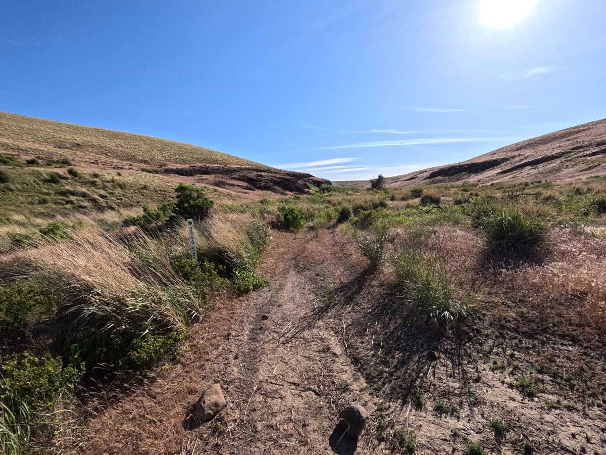 Hartman Creek Road photo 2