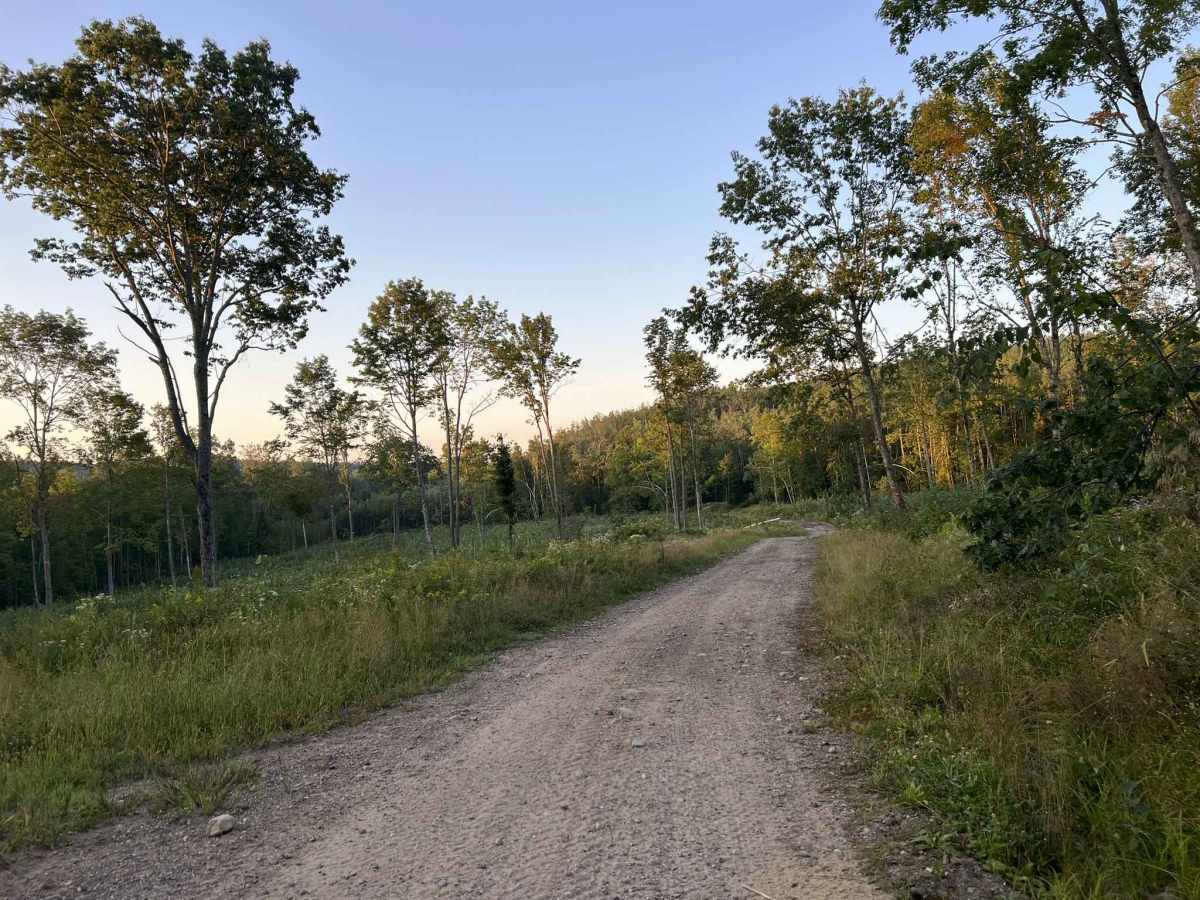 Forest County ATV/SXS 8 Mile Loop Trail 2 photo 2