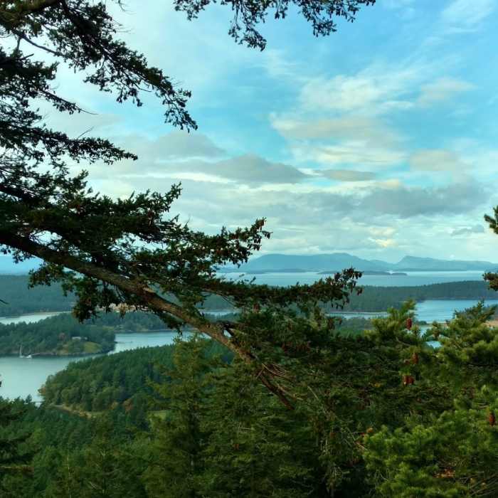 Near Young Hill Trail