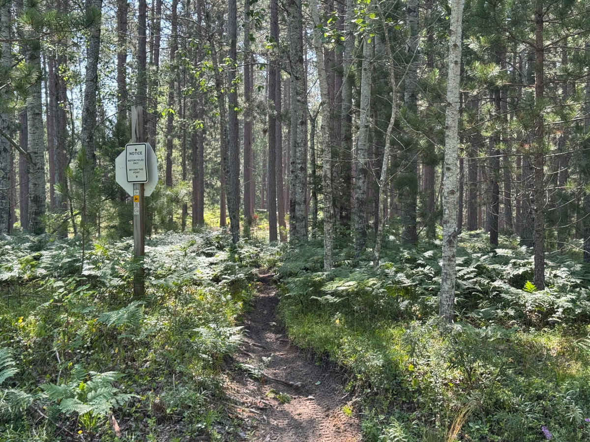 Moss Lake Motorcycle Trail photo 5