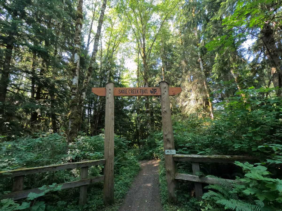 Sadie Creek Trail trail photo